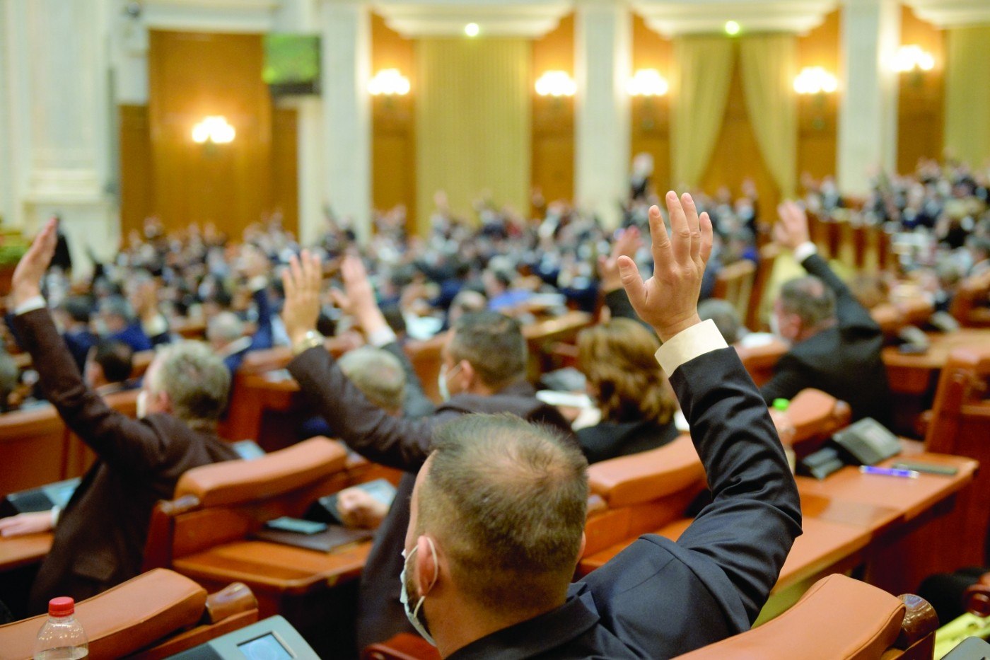 Proiectul care prevedea pedepse mai mari pentru tulburarea liniștii publice, respins la Senat