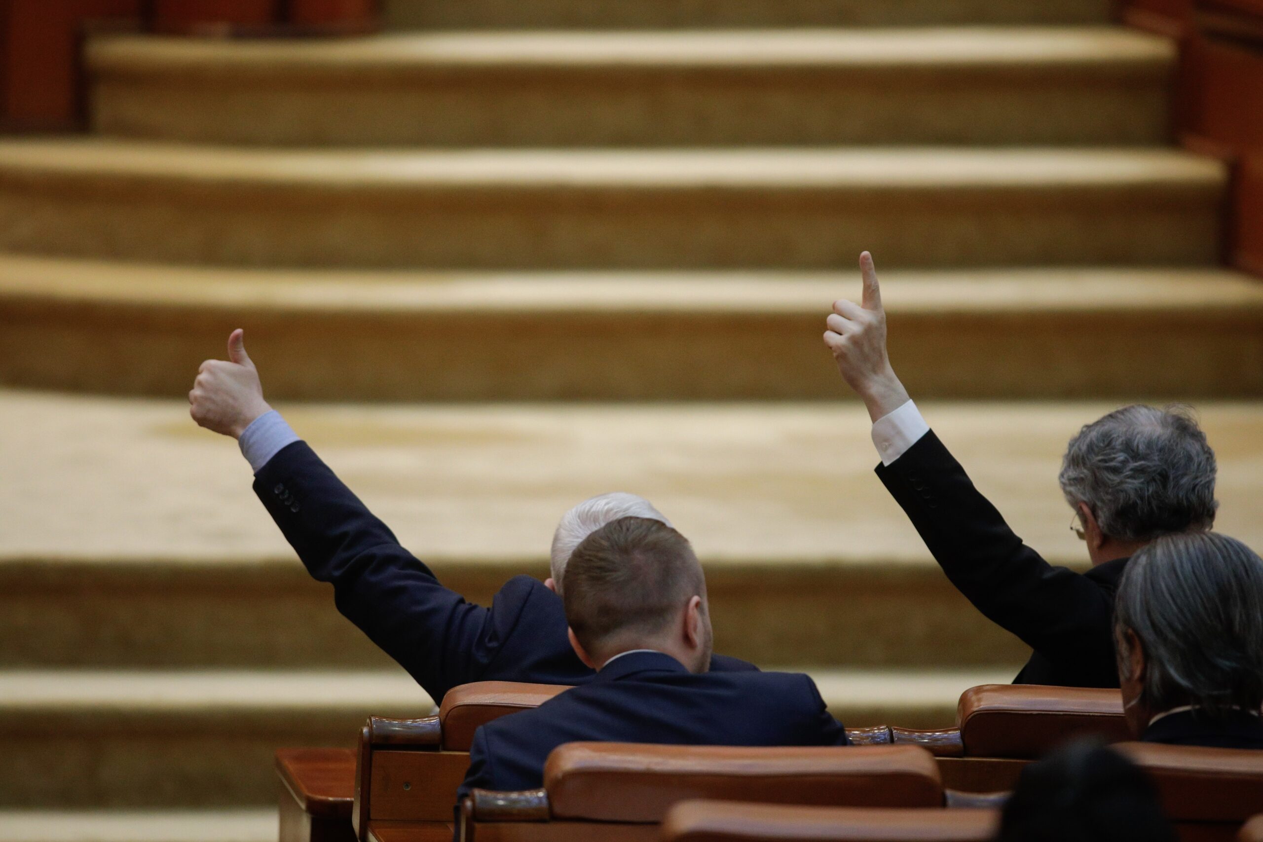 Proiectul pentru interzicerea cumulului pensiei cu salariul, raport favorabil în comisia pentru muncă