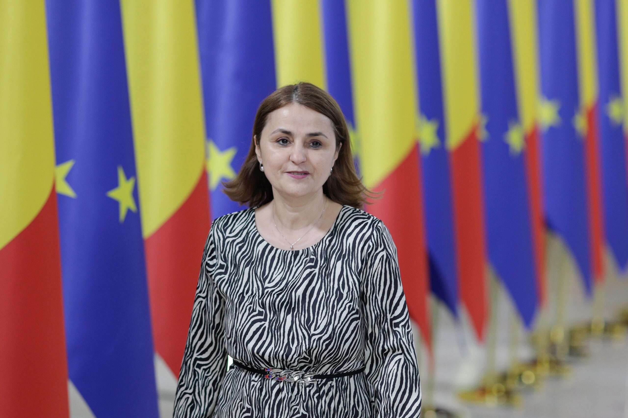 Odobescu: România susţine utilizarea activelor ruseşti îngheţate în UE, în vederea reconstrucţiei Ucrainei VIDEO