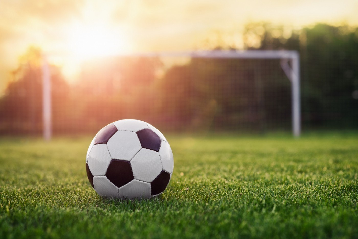Universitatea Cluj şi CFR Cluj s-au calificat în sferturile Cupei României