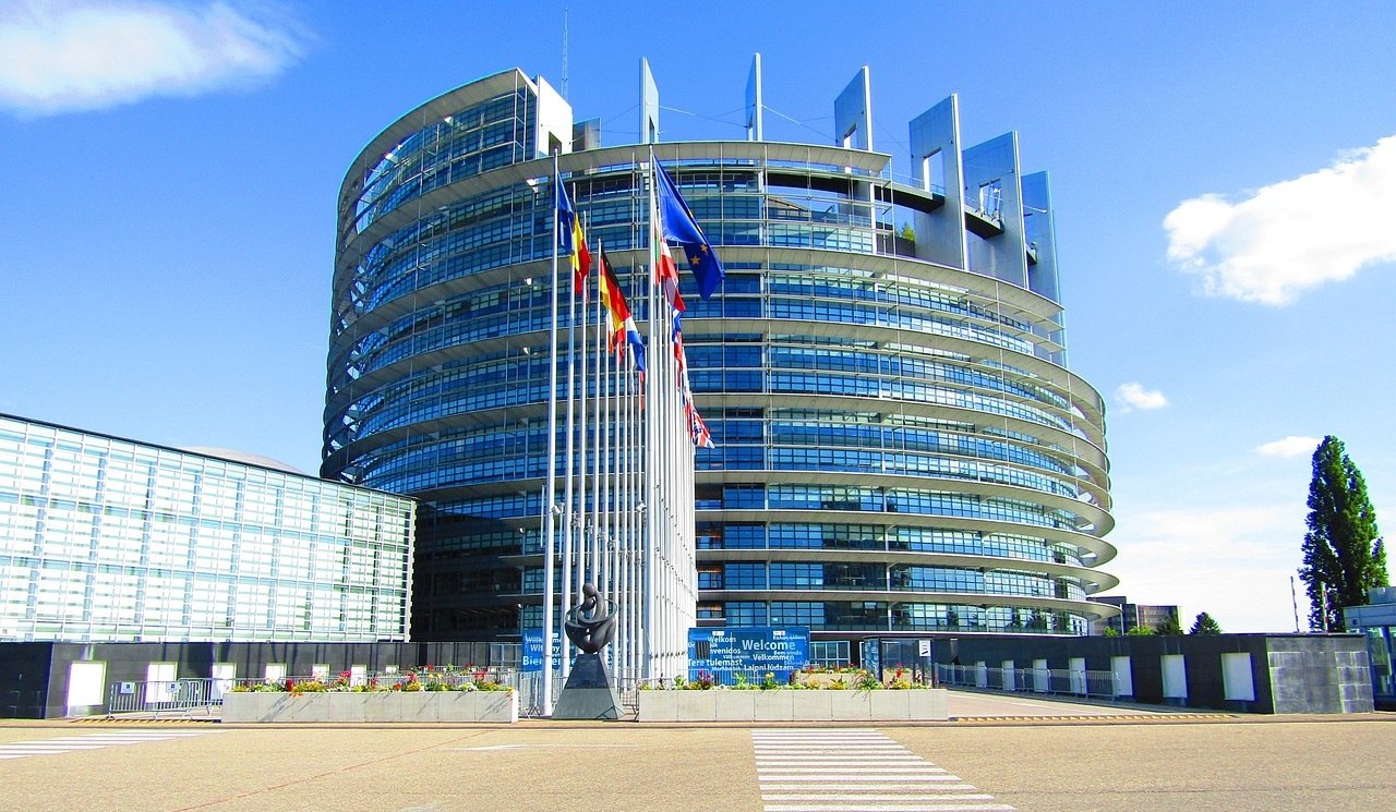 Cine sunt independenții care vor sa ajungă în Parlamentul European