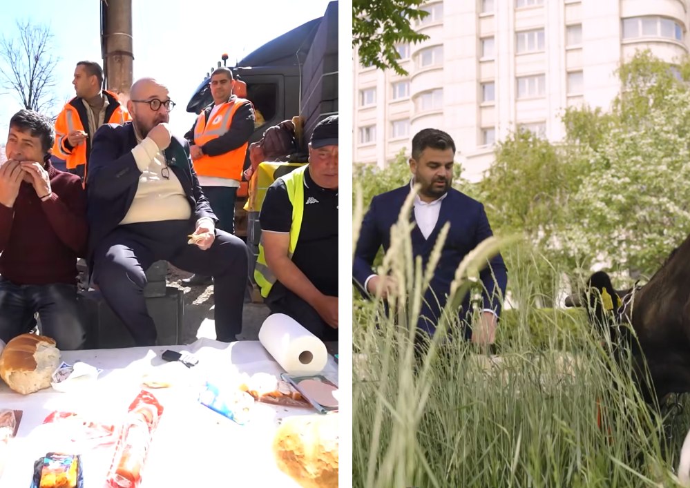 Extravaganțe de campanie: de la prânz pe șantier, la scos vaca la păscut în București