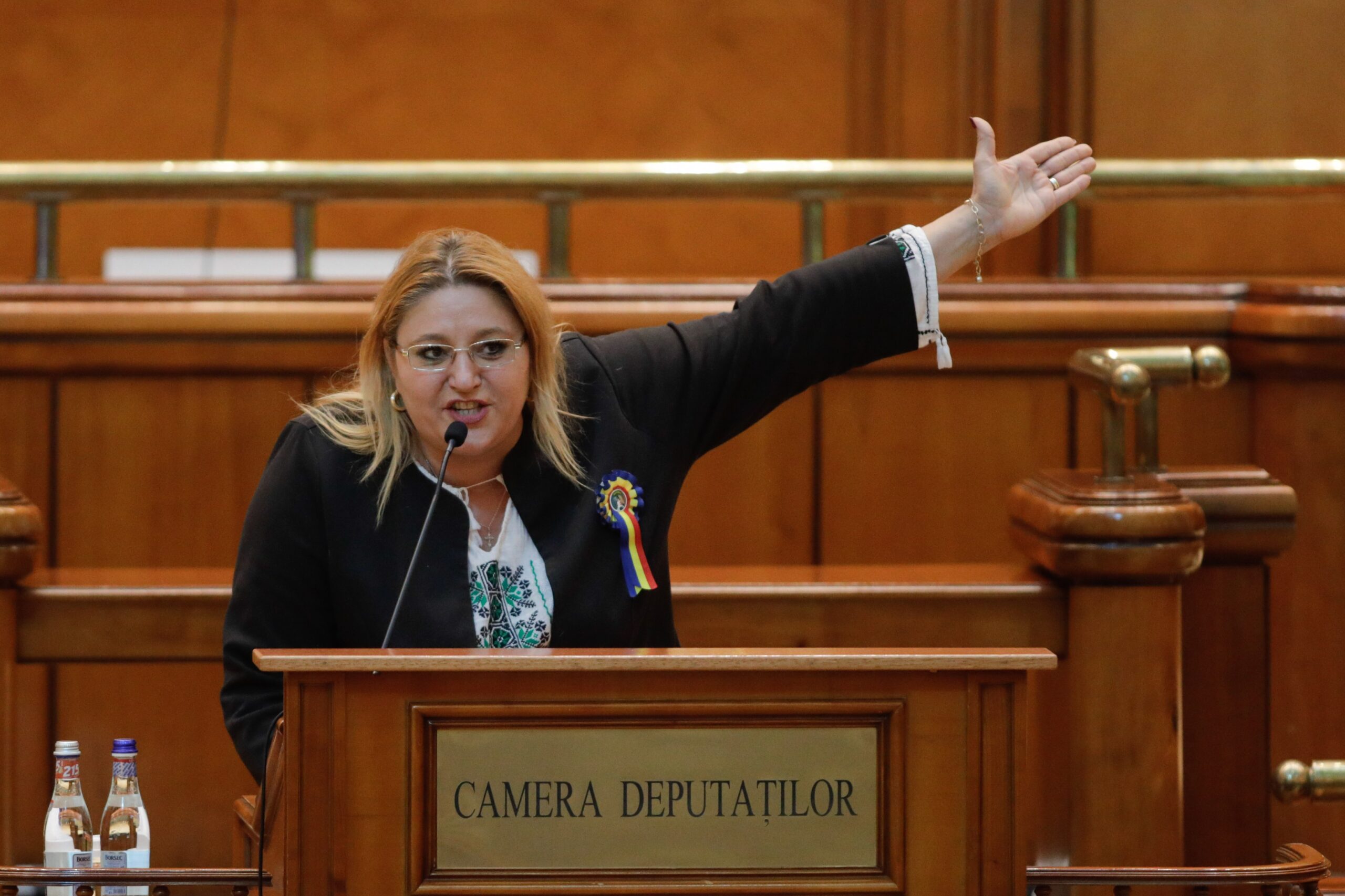 Diana Șoșoacă vrea referendum pentru ieșirea României din NATO: „Cea mai agresivă, incitantă, periculoasă și potențial distructivă Alianță militară!“