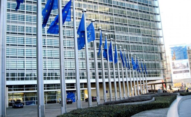 Alegerile anulate din România, un semnal de alarmă pentru UE şi un motiv în plus pentru crearea unui „scut al democraţiei”