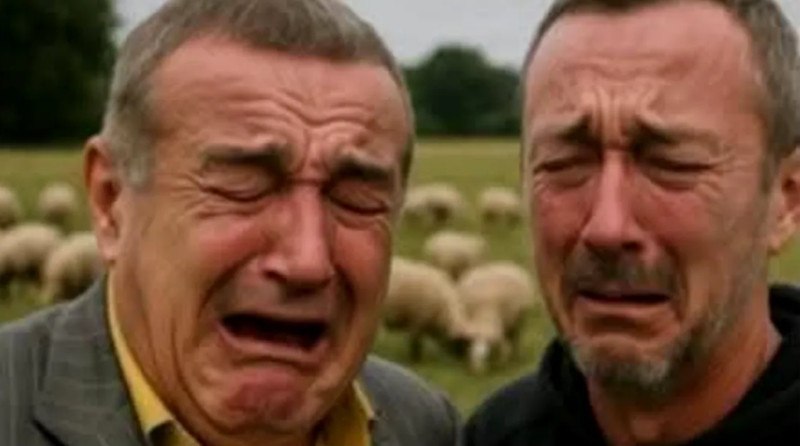 FCSB, ținta ironiilor după ce a ratat play-off-ul: cele mai tari meme-uri apărute pe internet