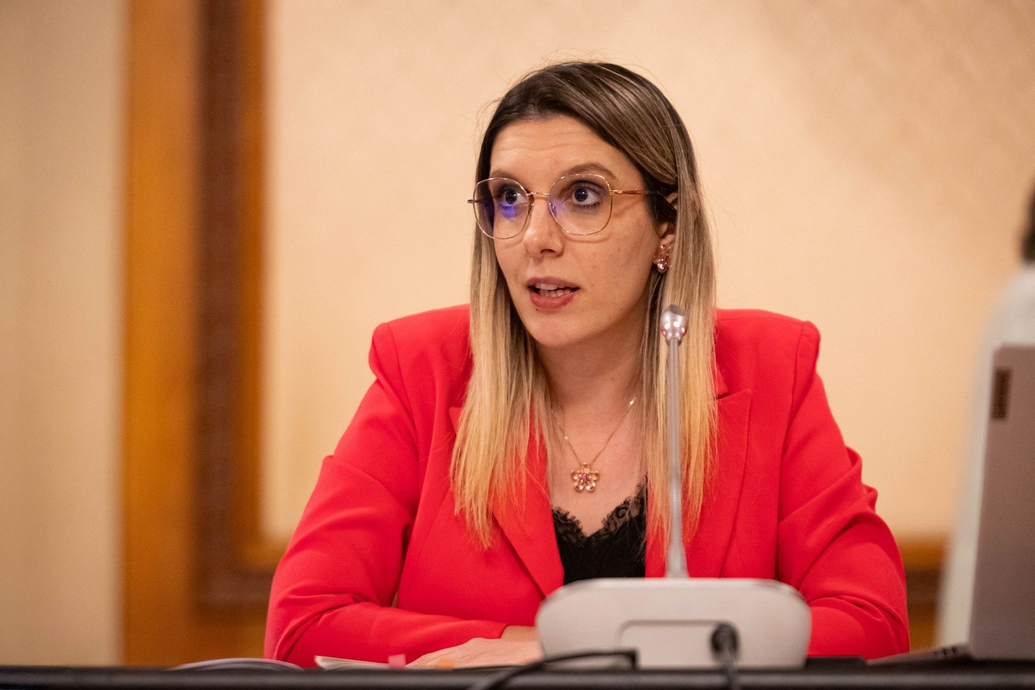 Diana Buzoianu: Sorin Grindeanu „a distrus țara asta și acum habar nu are de unde își face rost de o majoritate”