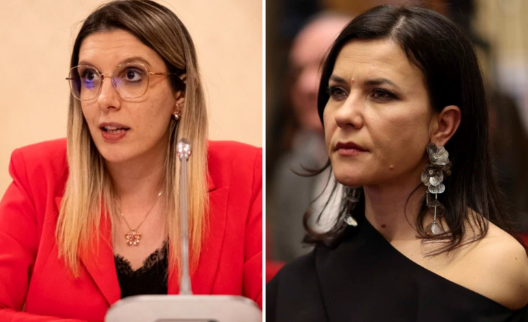 Diana Buzoianu spune că nu a fost primită în audiență de procurorul general. Parchetul General susține că nu a existat o astfel de cerere